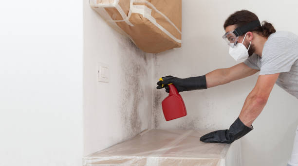 Professional Bathroom Mold Removal technician working in Cambridge, MN