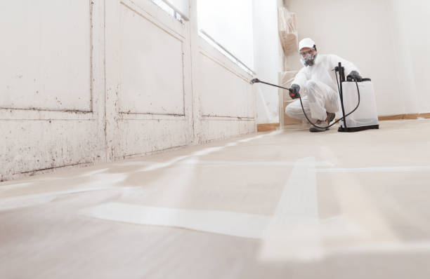 24/7 Emergency Bathroom Mold Removal experts in Cambridge, MN