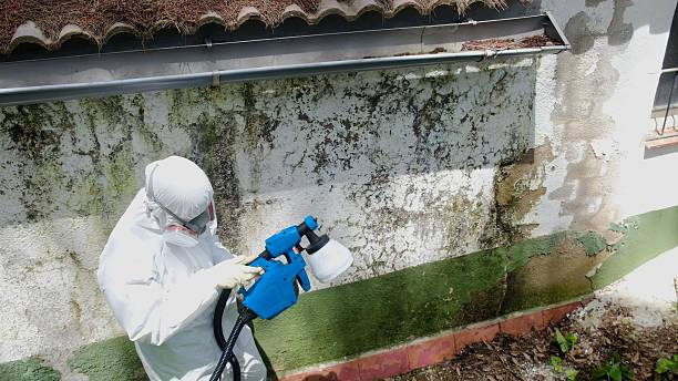 Top rated local Bathroom Mold Removal specialists in Cambridge, MN